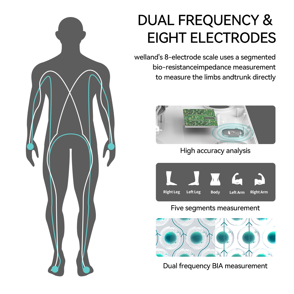 Smart 8 Electrode Scale Bioimp - đánh giá và giá Body Fat Scale Smart